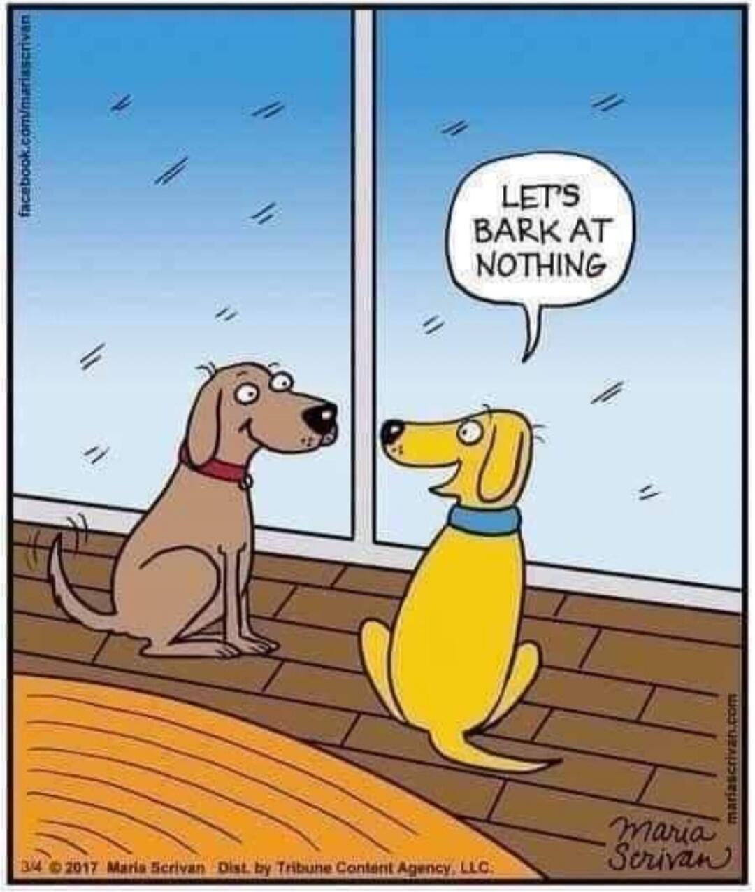 LET'S BARK AT NOTHING