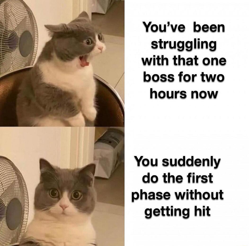 Youve been struggling with that one boss for two hours now You suddenly do the first phase without getting hit