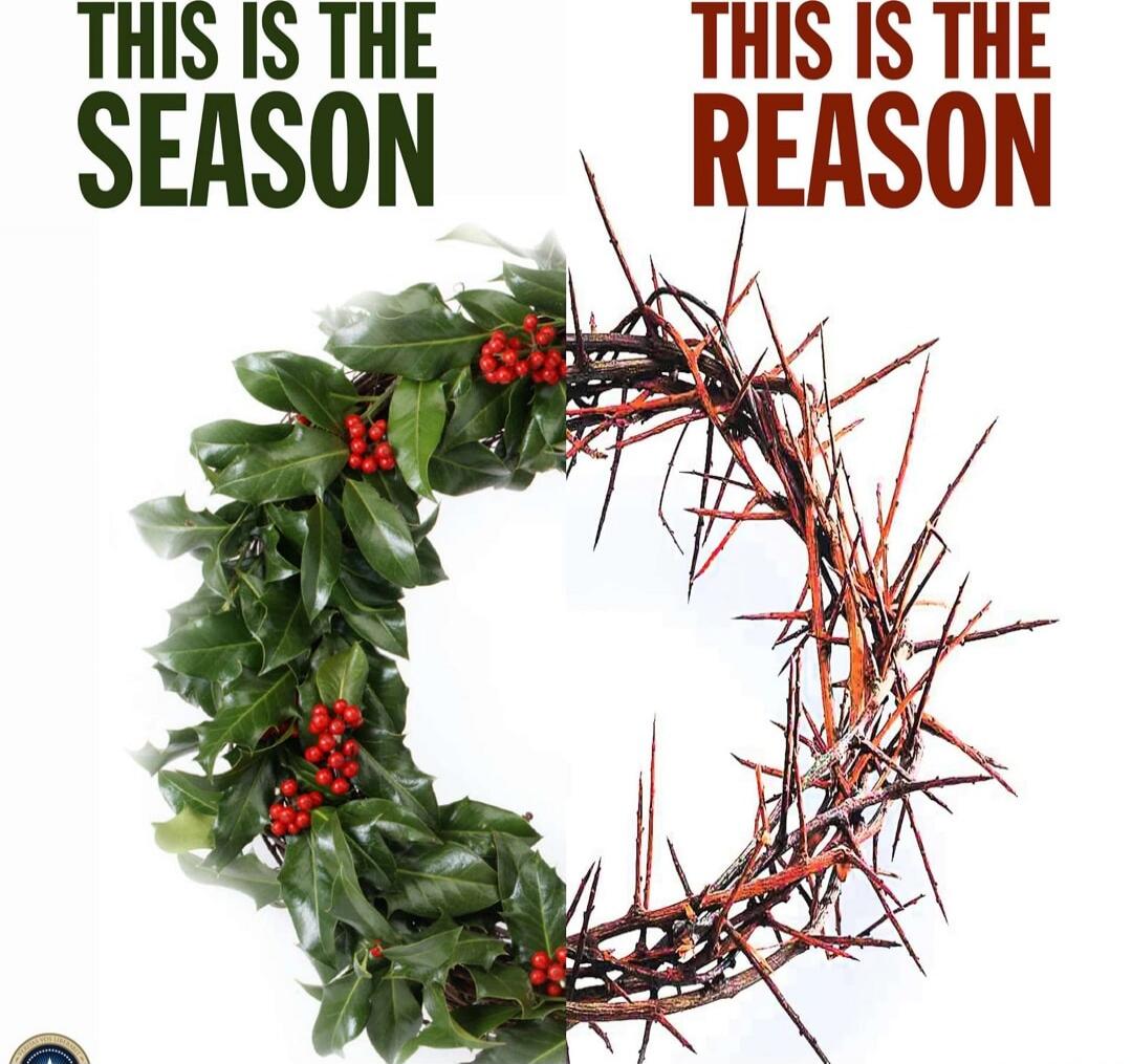 THIS IS THE SEASON  THIS IS THE REASON