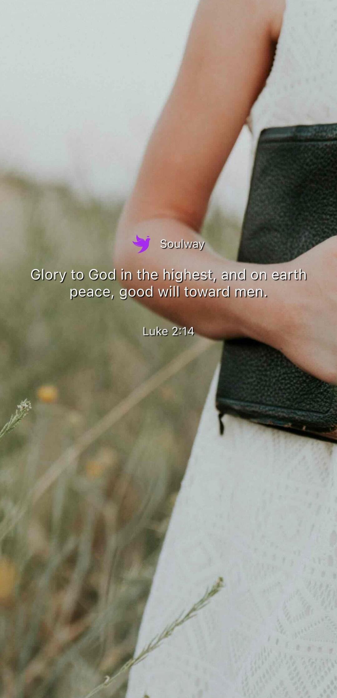Soulway Glory to God in the highest, and on earth peace, good will toward men. Luke 2:14