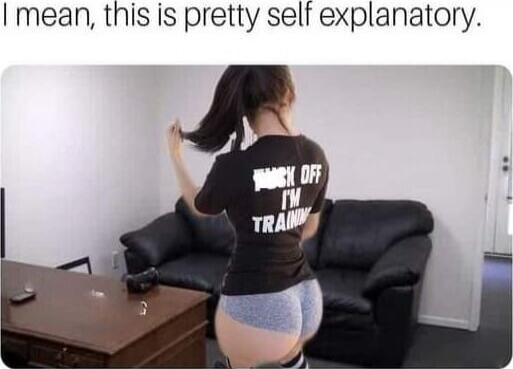 I mean, this is pretty self explanatory. FUCK OFF I'M TRAINING