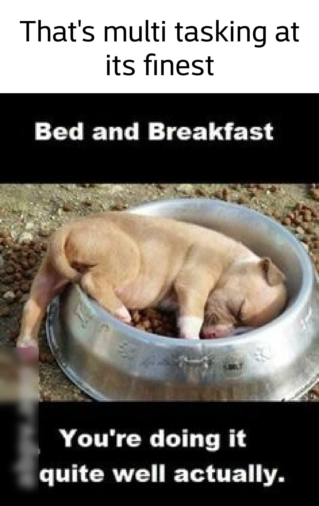 Thats multi tasking at its finest Bed and Breakfast Youre doing it U CGRVE TS TEL A