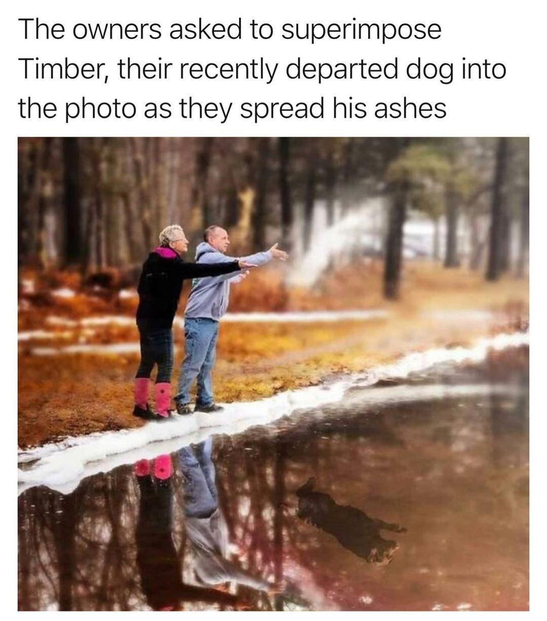 The owners asked to superimpose Timber their recently departed dog into the photo as they spread his ashes