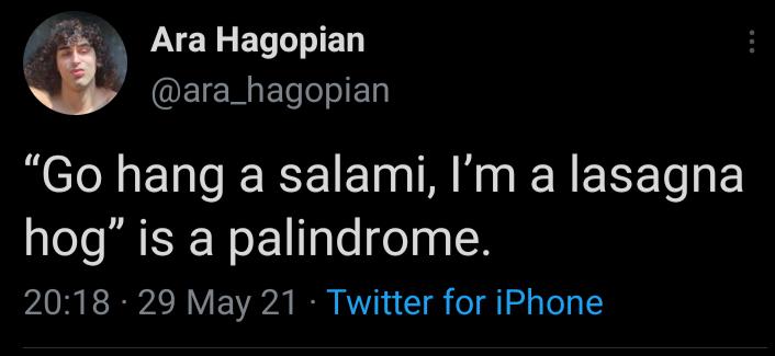 i JYEY ELLIIED 3 ara_hagopian Go hang a salami Im a lasagna hog is a palindrome AV R RN V B K1 T o TeT g O