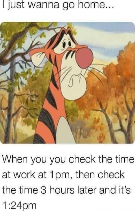 I just wanna go home... When you you check the time at work at 1pm, then check the time 3 hours later and it’s 1:24pm