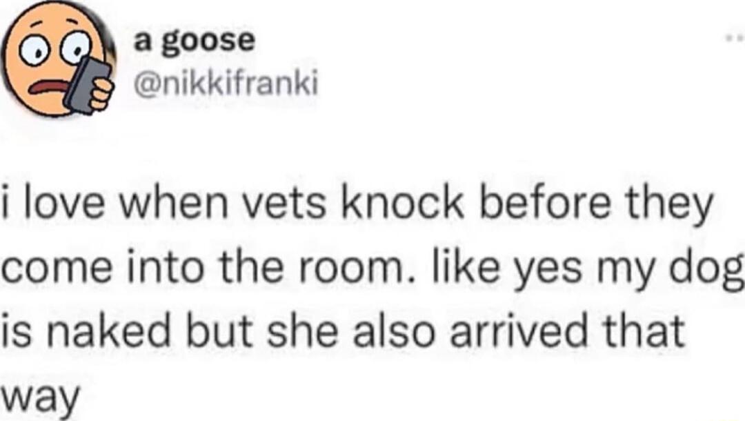 agoose nikkifranki i love when vets knock before they come into the room like yes my dog is naked but she also arrived that way