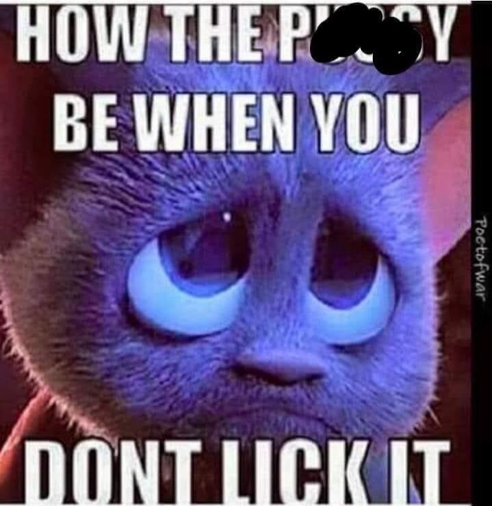 HOW THE PUSSY BE WHEN YOU DONT LICK IT