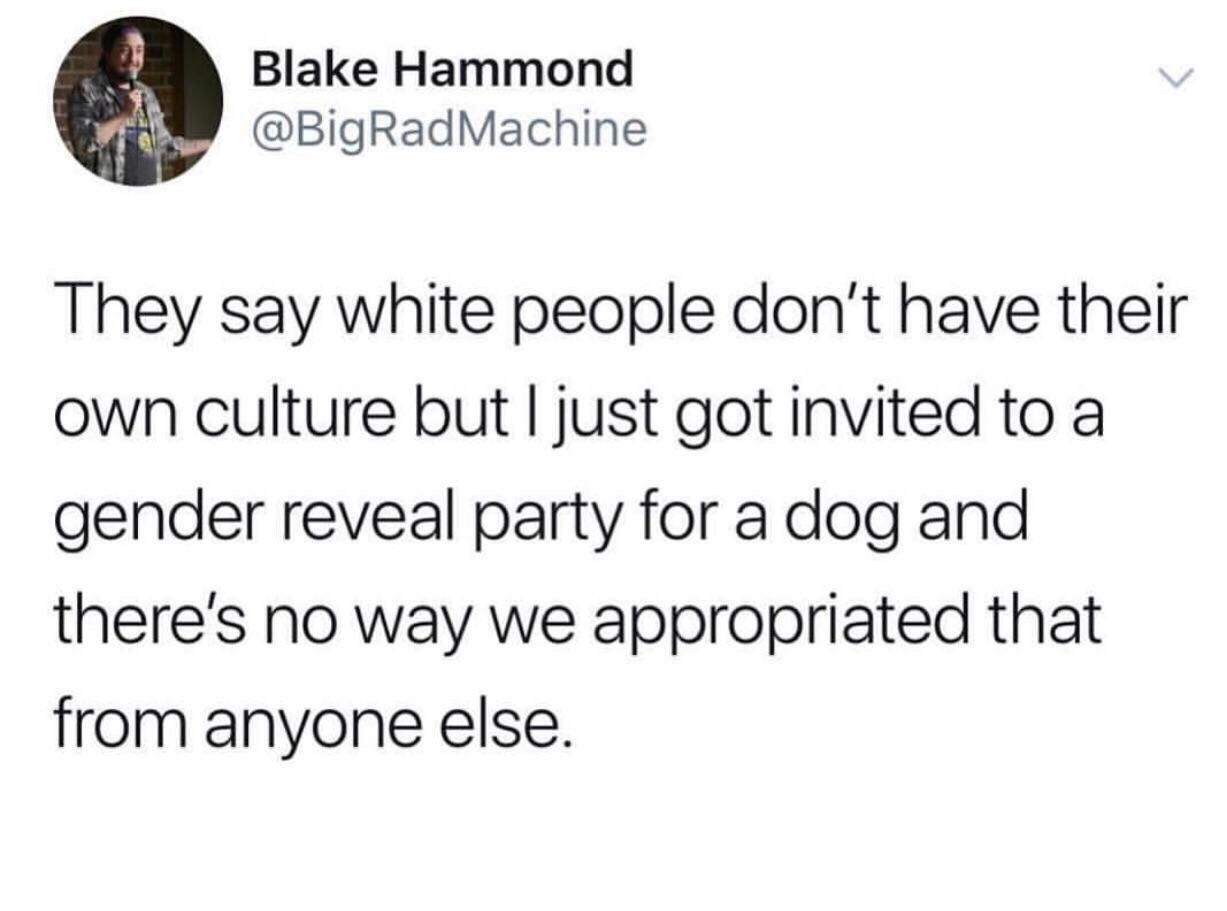 Blake Hammond B BigRadMachine They say white people dont have their own culture but just got invited to a gender reveal party for a dog and theres no way we appropriated that from anyone else