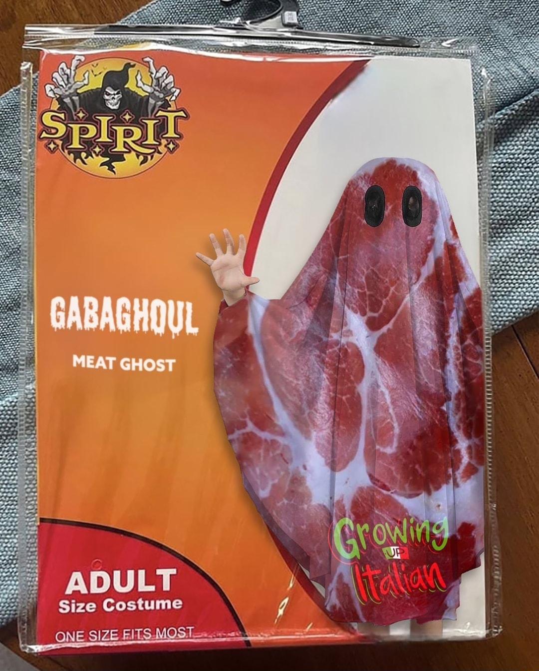 ADULT Size Costume