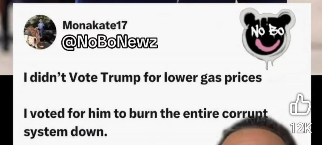Monakate17 @NoBoNewz I didn't Vote Trump for lower gas prices I voted for him to burn the entire corrupt system down. 12K
