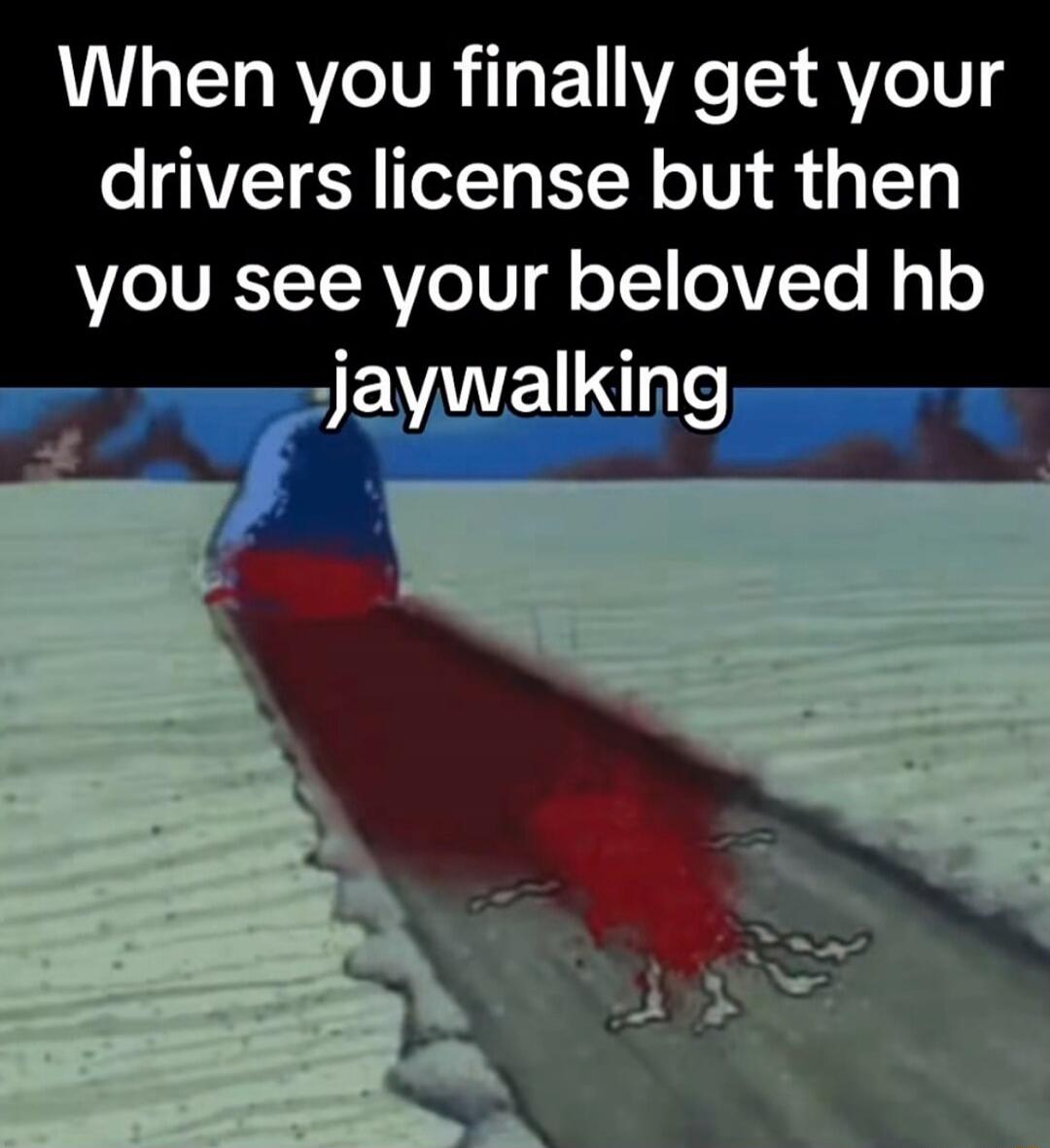 When you finally get your drivers license but then you see your beloved hb jaywalking