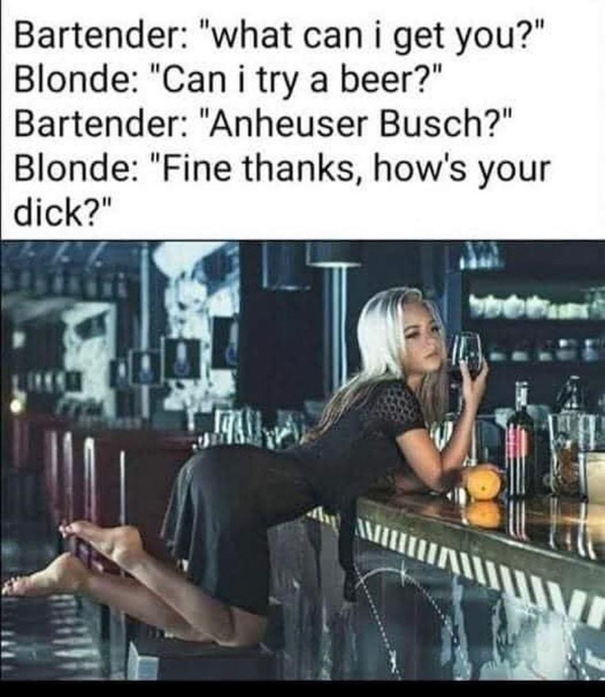 Bartender what can i get you Blonde Can i try a beer Bartender Anheuser Busch Blonde Fine thanks hows your