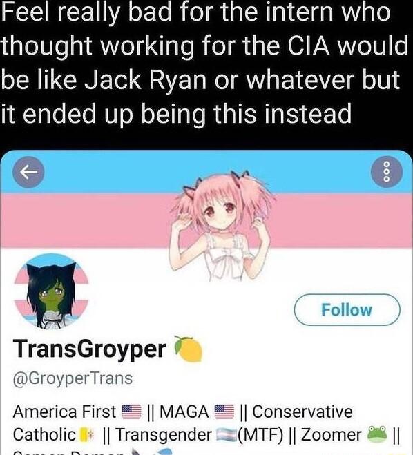 hought working for the CIA would be like Jack Ryan or whatever but it ended up being this instead TransGroyper America First 2 MAGA 2 Conservative Catholic Transgender MTF Zoomer