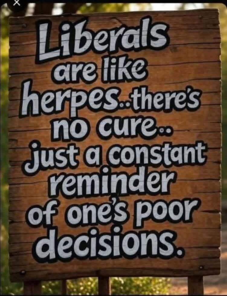 Liberals are like herpes... there's no cure... just a constant reminder of one's poor decisions.