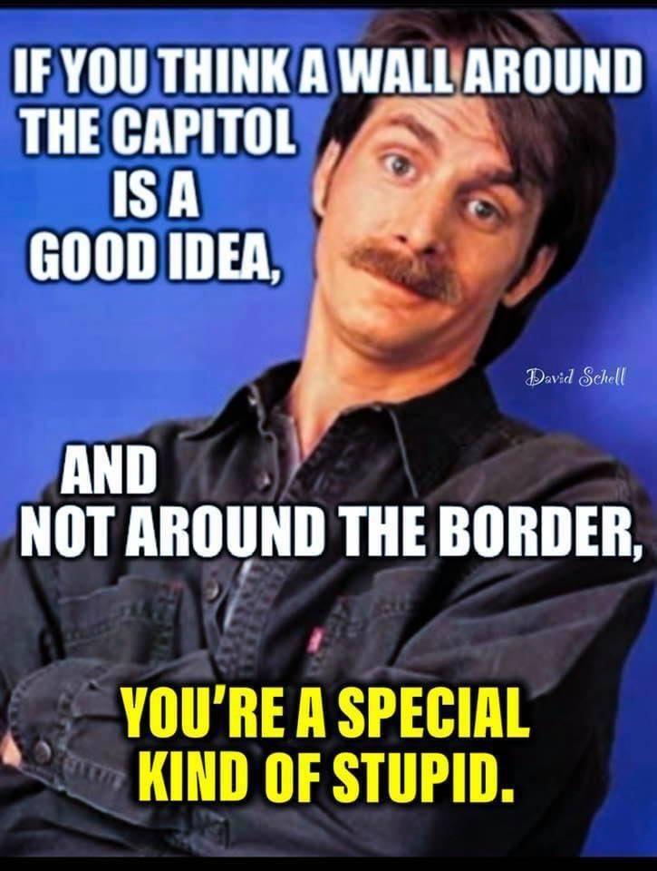 IEYOU THINKAWALLAROUND THE CAPITOL ISA GOOD IDEA Bavid Sehell AND NOT AROUND THE BORDER YOURE A SPECIAL KIND OF STUPID