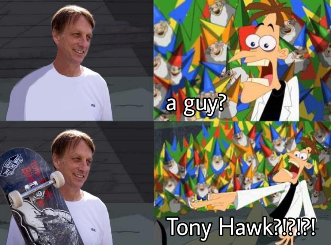 Tony Hawkagie