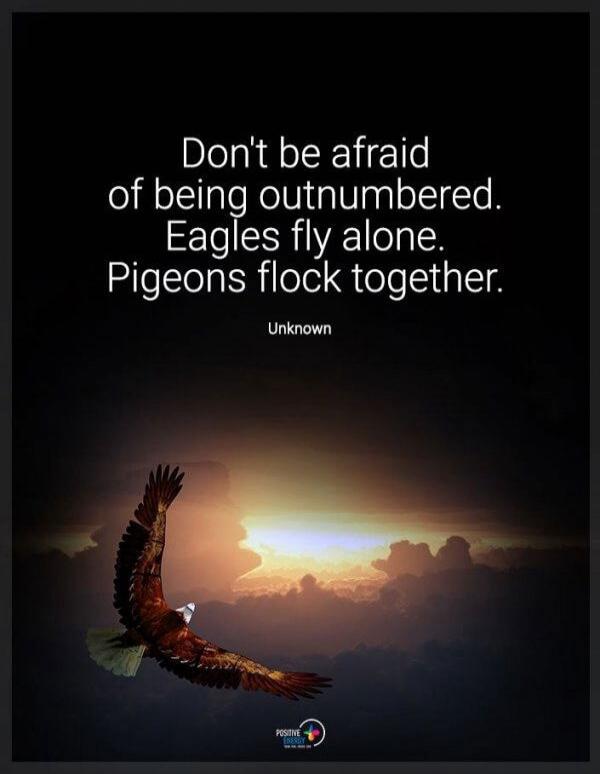 Don't be afraid of being outnumbered. Eagles fly alone. Pigeons flock together. Unknown