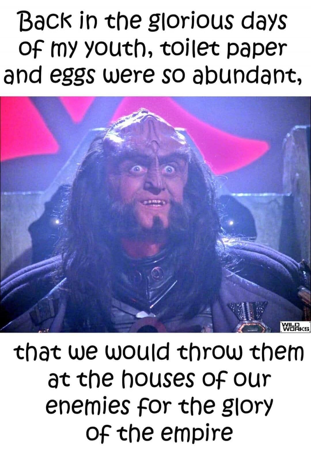 Back in the glorious days of my youth, toilet paper and eggs were so abundant, that we would throw them at the houses of our enemies for the glory of the empire