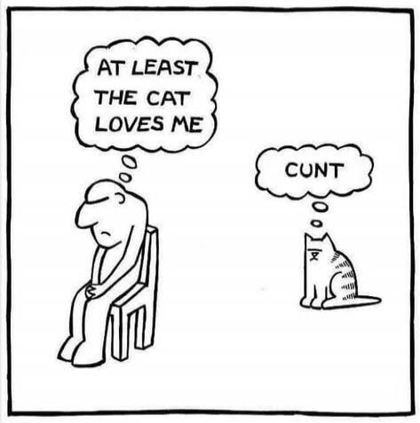AT LEAST THE CAT LOVES ME CUNT