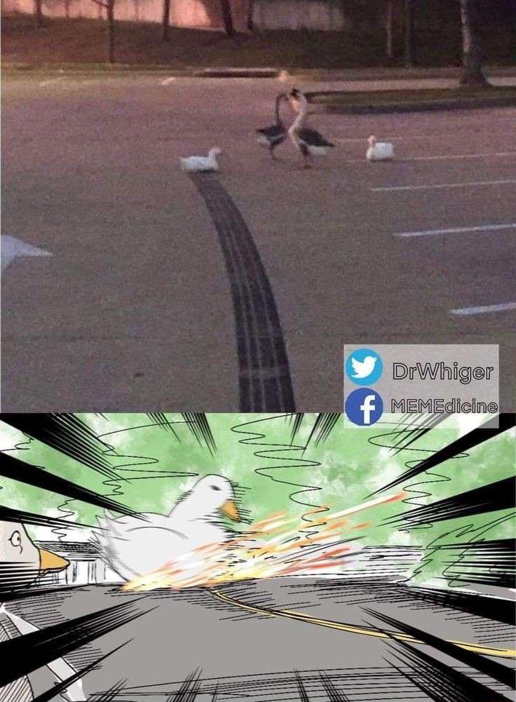 ekl T DrWhiger Edicine