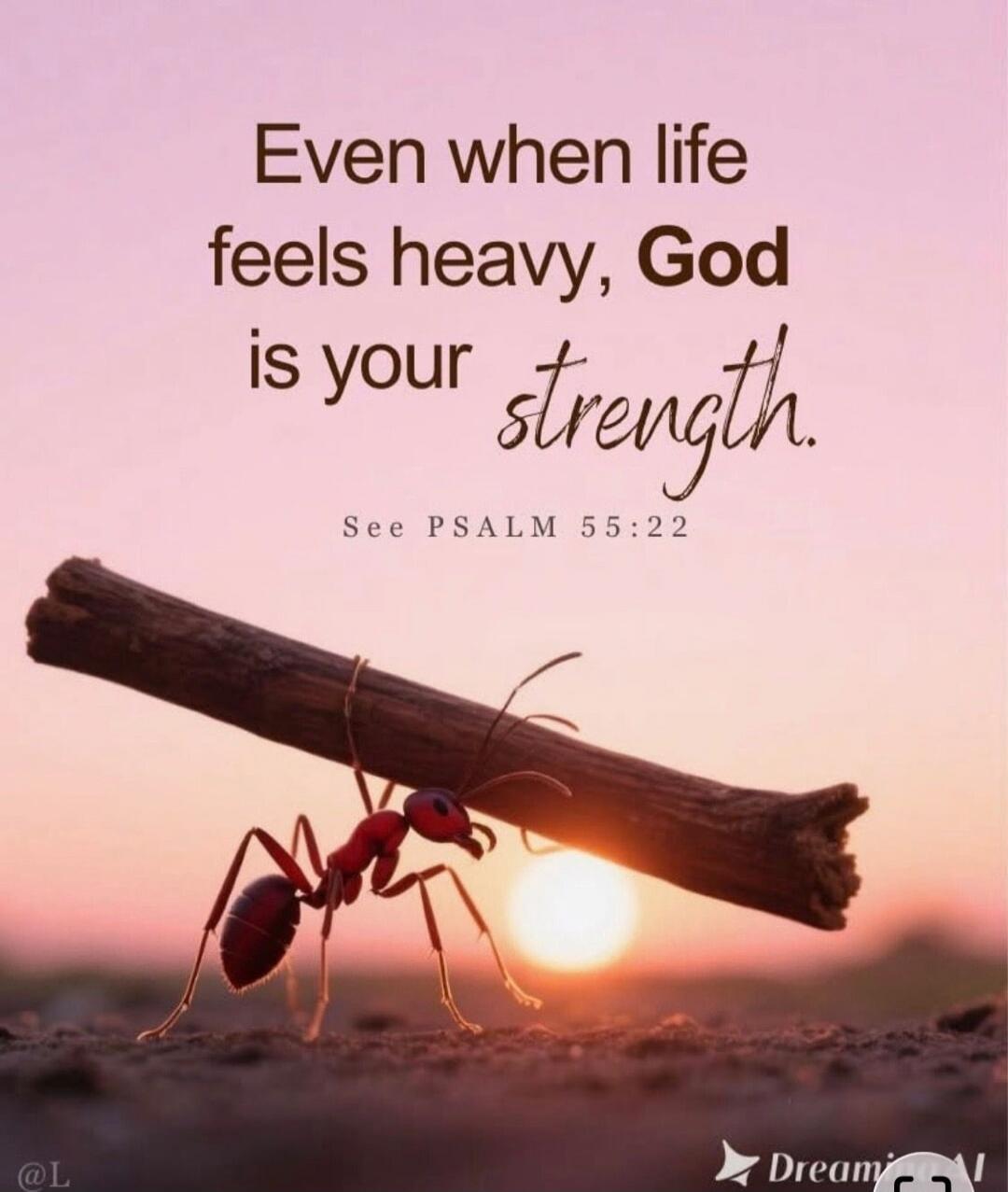 Even when life feels heavy, God is your strength. See PSALM 55:22