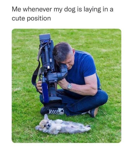 Me whenever my dog is laying in a cute position