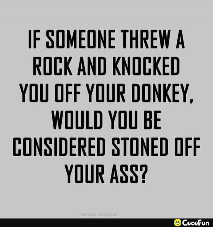 IF SOMEONE THREW A ROCK AND KNOCKED YOU OFF YOUR DONKEY, WOULD YOU BE CONSIDERED STONED OFF YOUR ASS?