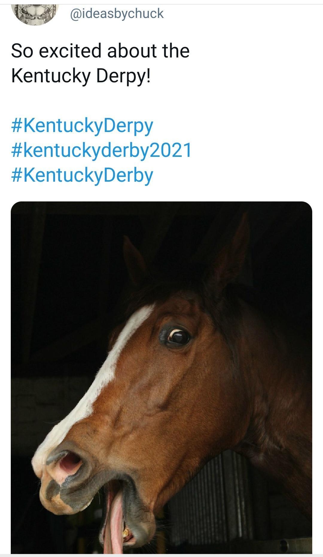 ideasbychuck So excited about the Kentucky Derpy