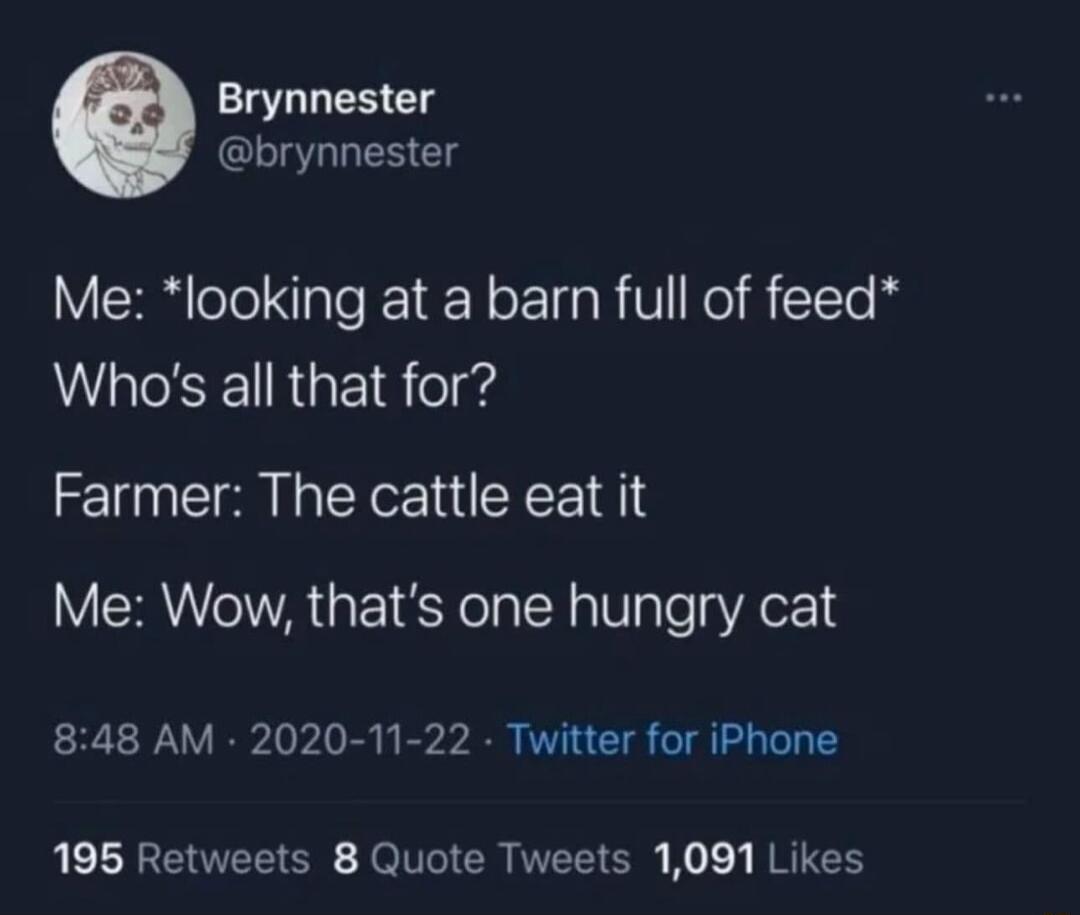 Brynnester brynnester Me looking at a barn full of feed Whos all that for Farmer The cattle eat it Me Wow thats one hungry cat 848 AM 2020 11 22 Twitter for iPhone LEREEEEN FelTGICRIVET O Ko NRTCH