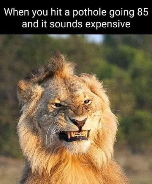 VLERZITR i Rolel g lo NeTellsTe R1S and it sounds expensive o x