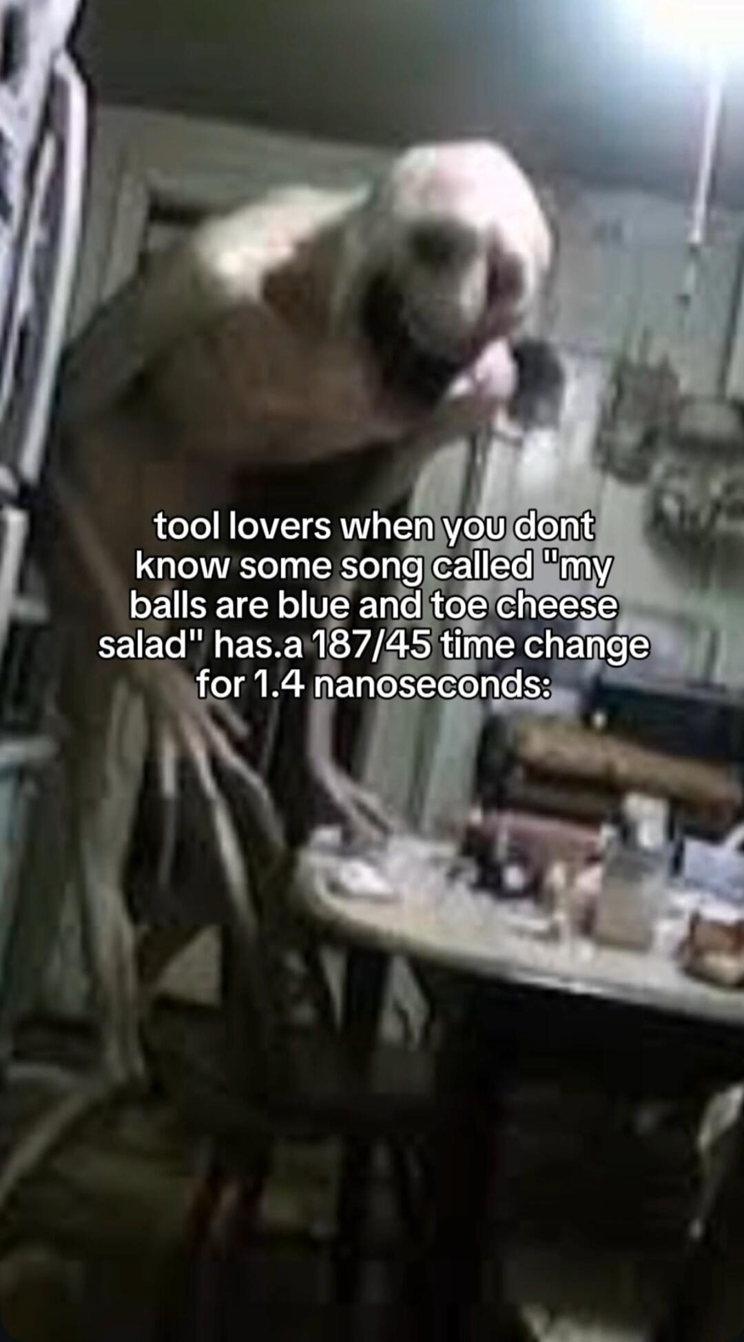 tool lovers when you dont know some song called 