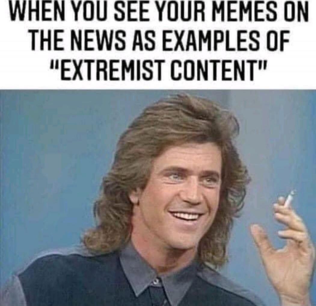 WHEN YOU SEE YOUR MEMES ON THE NEWS AS EXAMPLES OF 'EXTREMIST CONTENT'