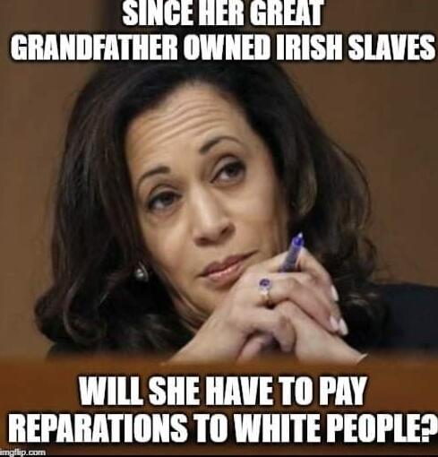 SINGE HER GREAT GRANDFATHER OWNED IRISH SLAVES WILL SHE HAVE TO PAY REPARATIONS TO WHITE PEOPLES
