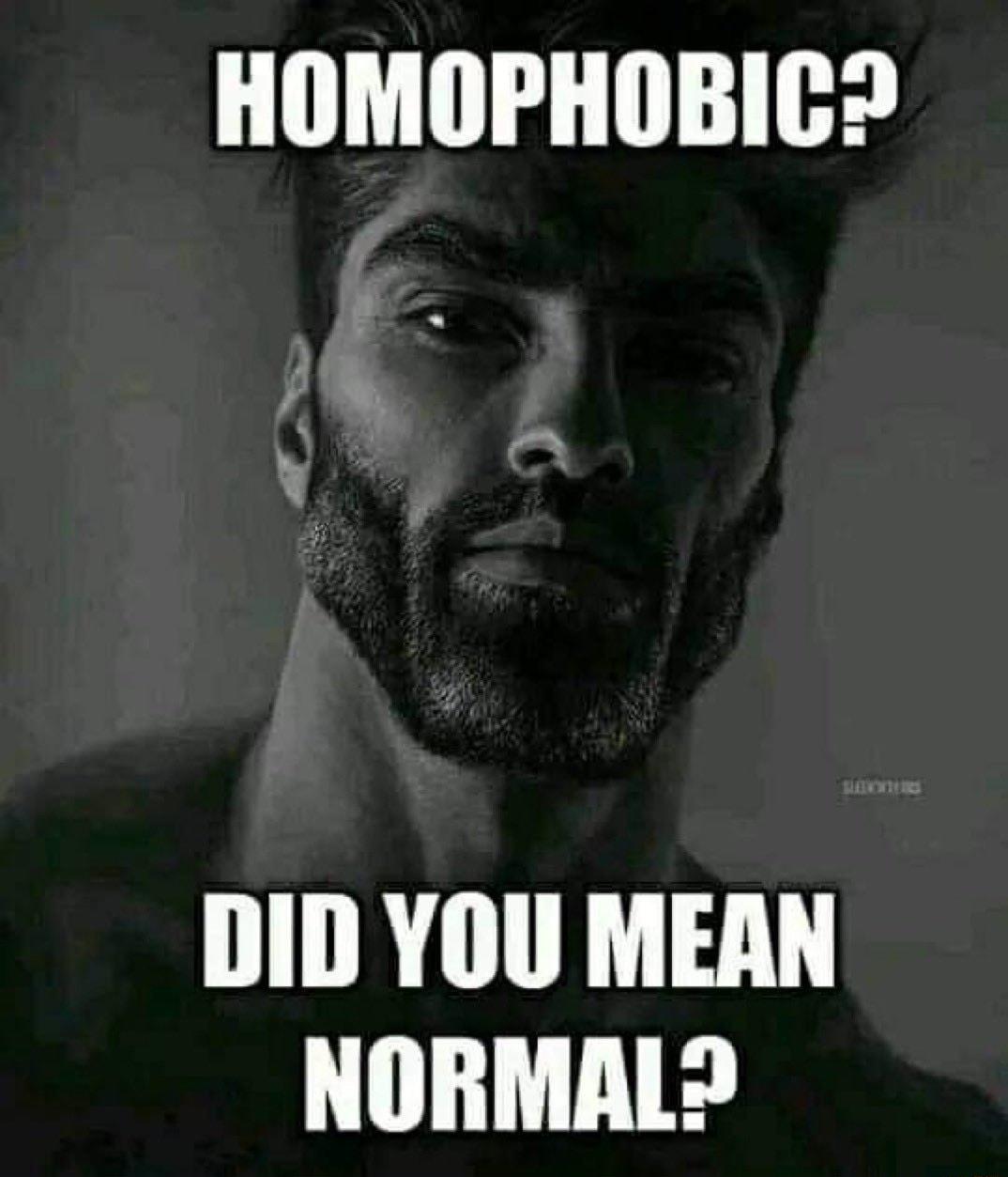 HOMOPHOBIC DID YOU MEAN NORMAL
