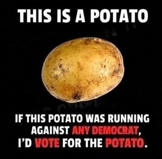 THIS IS A POTATO IF THIS POTATO WAS RUNNING AGAINST ANY DEMOCRAT, I'D VOTE FOR THE POTATO.