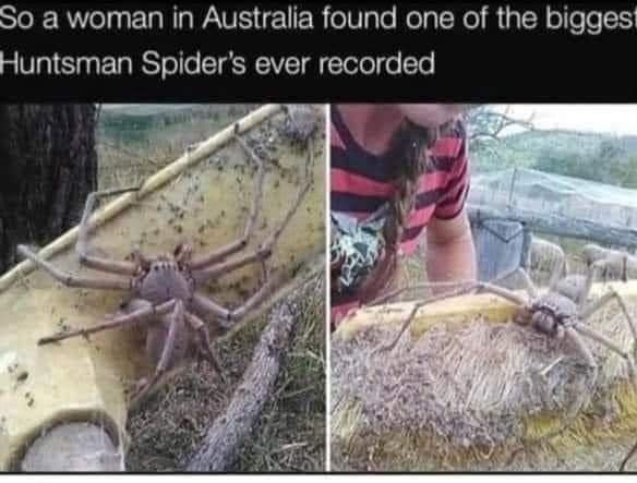 WWolgar e RIg WAV R o1 gle NolaT Nol MiaT HolleTo i Top coMMENTS W shnookumscookums 2h Oh nice theyre almost getting big enough to fuck now 2 Reply 516 olive0020 2h It would have cost you 0 not to say this and yet you did 389