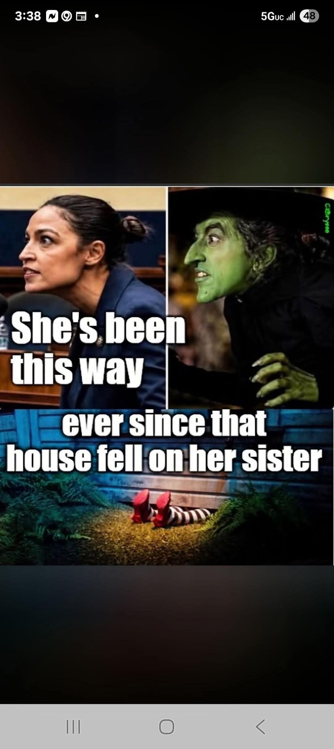 She's been this way ever since that house fell on her sister