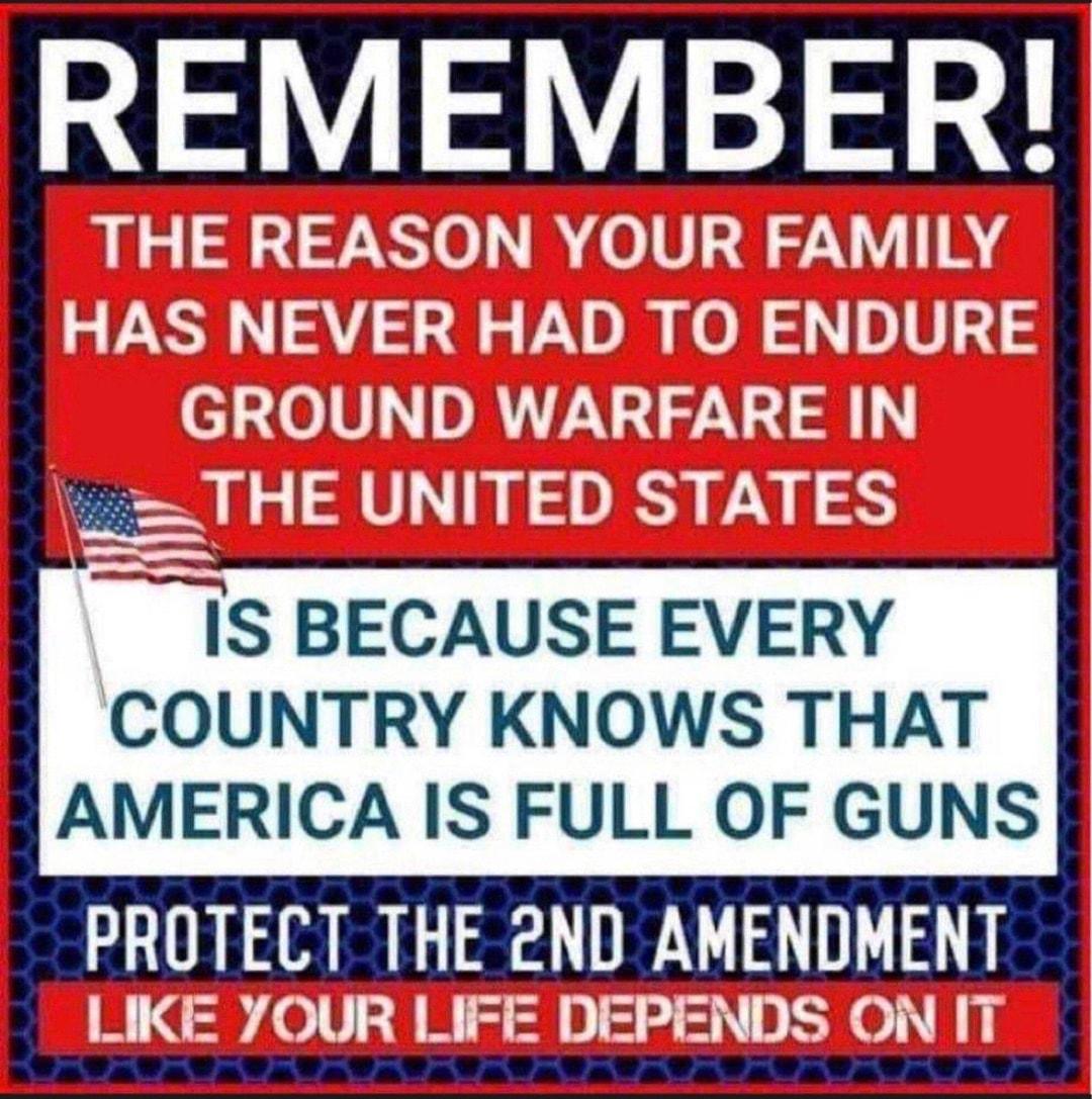 T L e ad s o E B m T 10 JUR FAMIL A Q h Y r Y E m e Fo 1 L P laln W IS BECAUSE EVERY COUNTRY KNOWS THAT AMERICA IS FULL OF GUNS PROTECT THE 2ND AMENDMENT