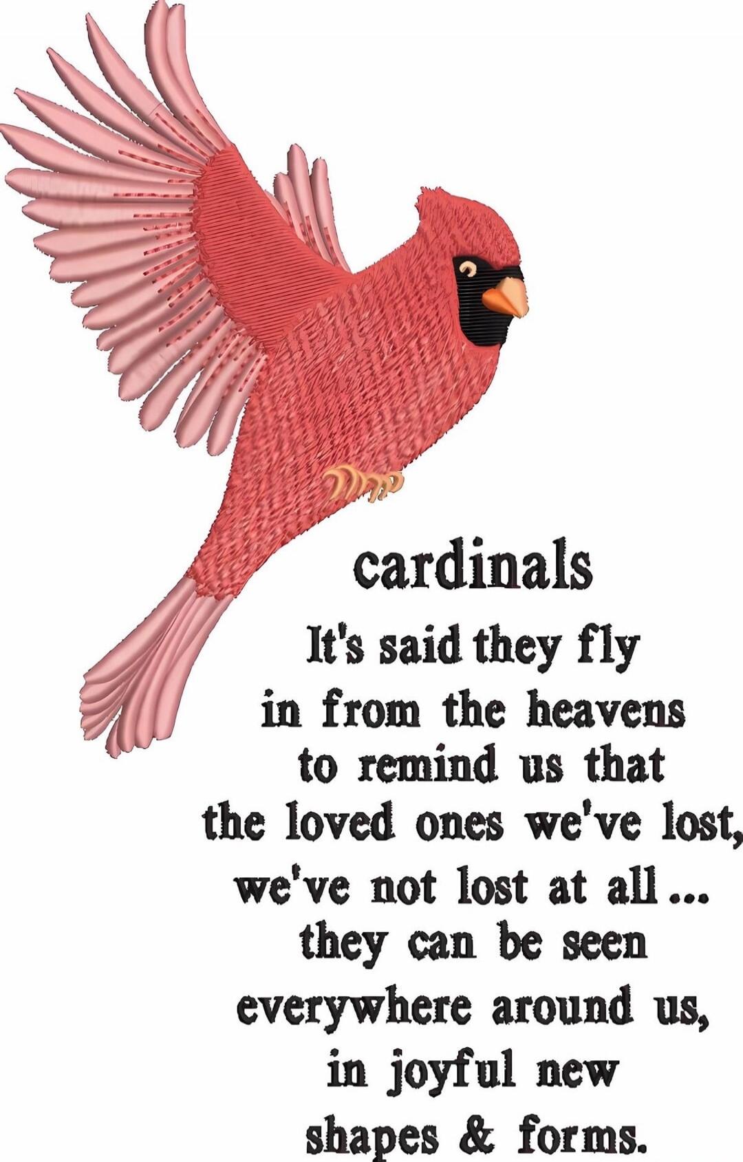 cardinals
It's said they fly in from the heavens to remind us that the loved ones we've lost, we've not lost at all... they can be seen everywhere around us, in joyful new shapes & forms.