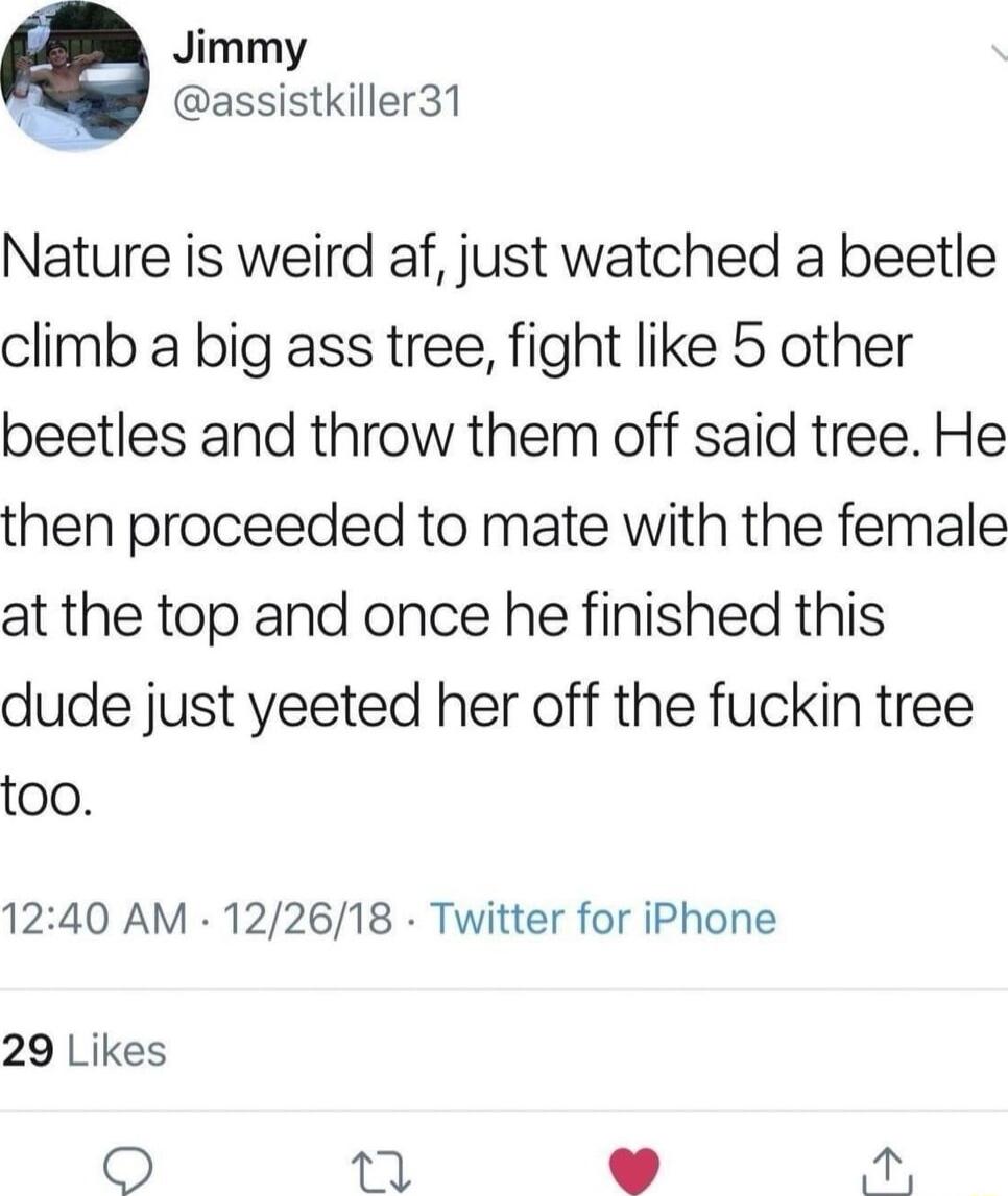 Jimmy assistkiller31 Nature is weird af just watched a beetle climb a big ass tree fight like 5 other beetles and throw them off said tree He then proceeded to mate with the female at the top and once he finished this dude just yeeted her off the fuckin tree too 1240 AM 122618 Twitter for iPhone 29 Likes 3 i