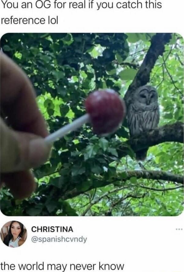 or real It you catch this reference lol CHRISTINA span the world may never know