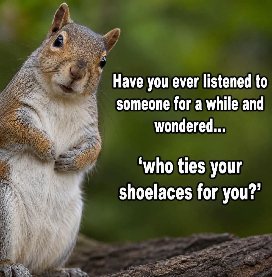 Have you ever listened to someone for a while and wondered... 'who ties your shoelaces for you?'