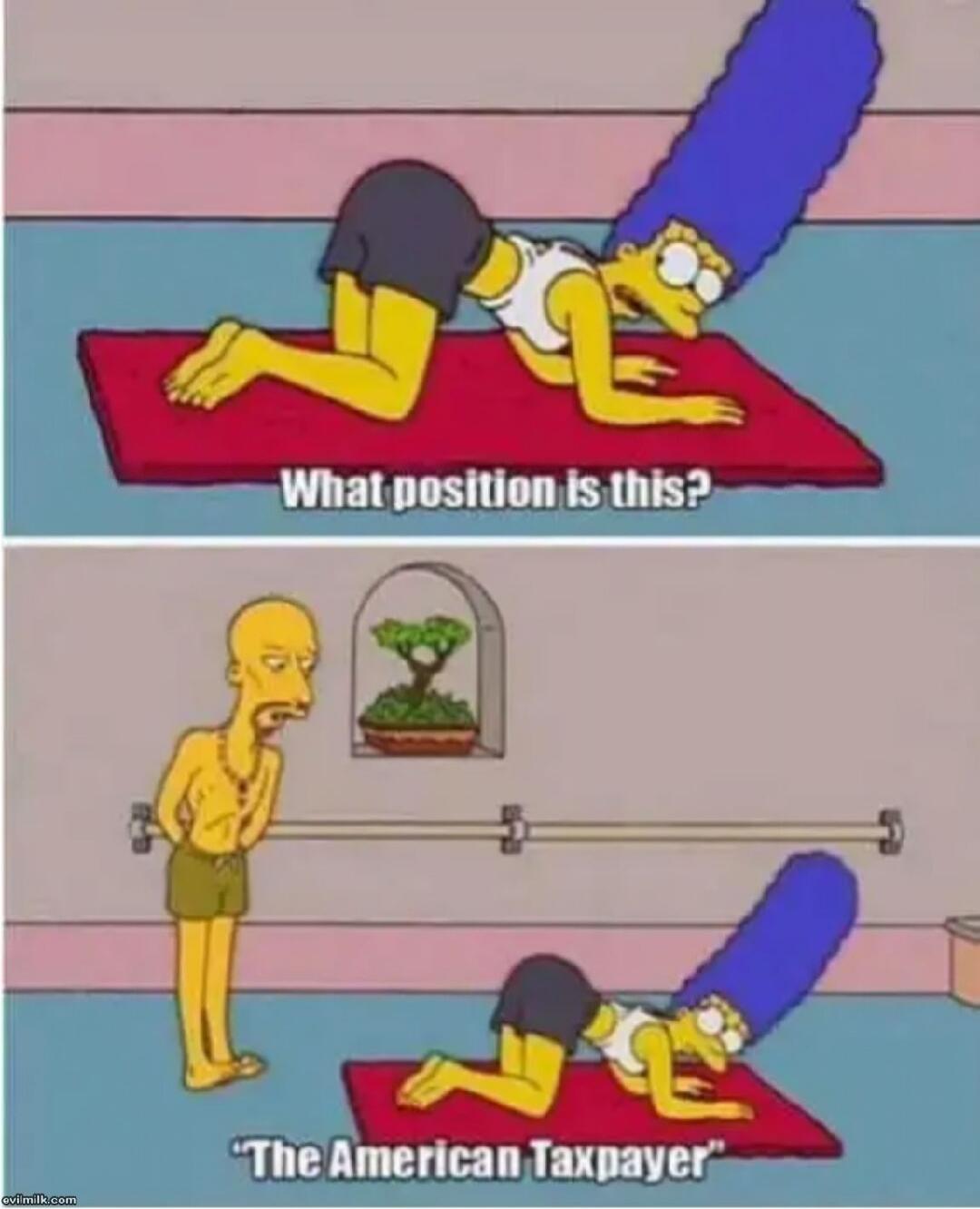 What position is this? The American Taxpayer