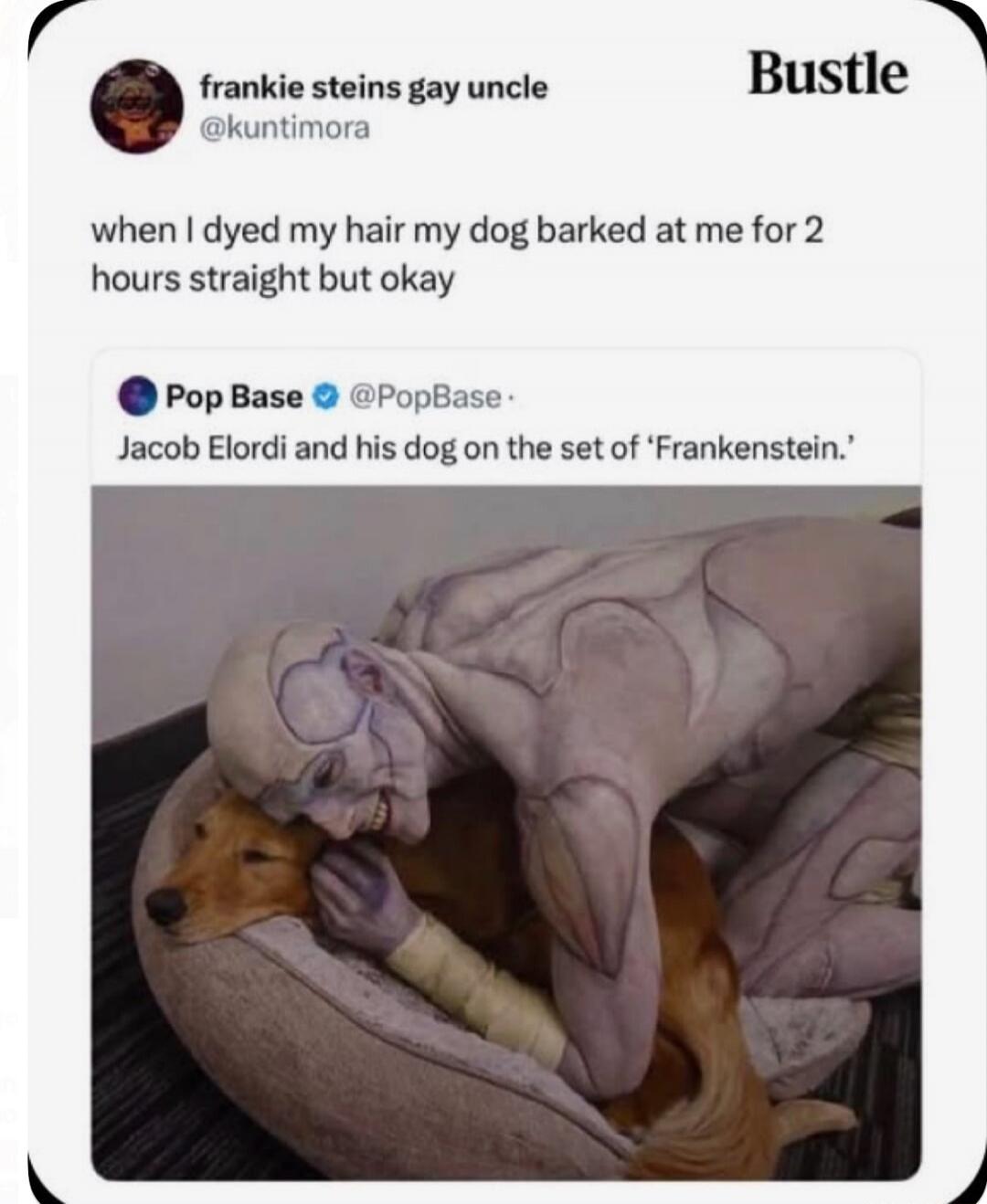 frankie steins gay uncle @kuntimora Bustle when I dyed my hair my dog barked at me for 2 hours straight but okay Pop Base @PopBase Jacob Elordi and his dog on the set of 'Frankenstein.'