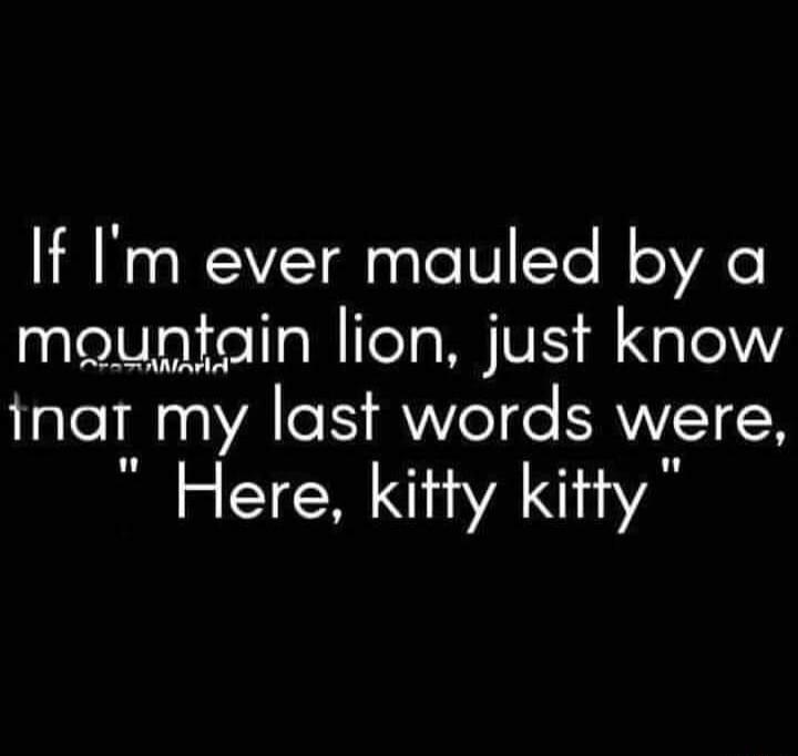 If I'm ever mauled by a mountain lion, just know that my last words were, 