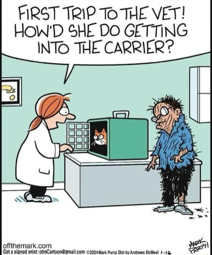 FIRST TRIP TO THE VET HowWD SHE DO GETTING INTO THE CARRIER offthemarkcom Get 2 signed print otmCartoonds