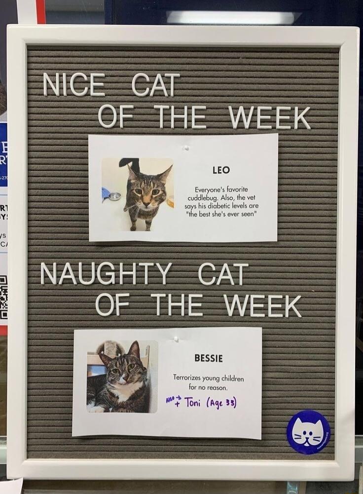 N6 NE OETHEWEEK TNEeTER e NE OF THEWEEK