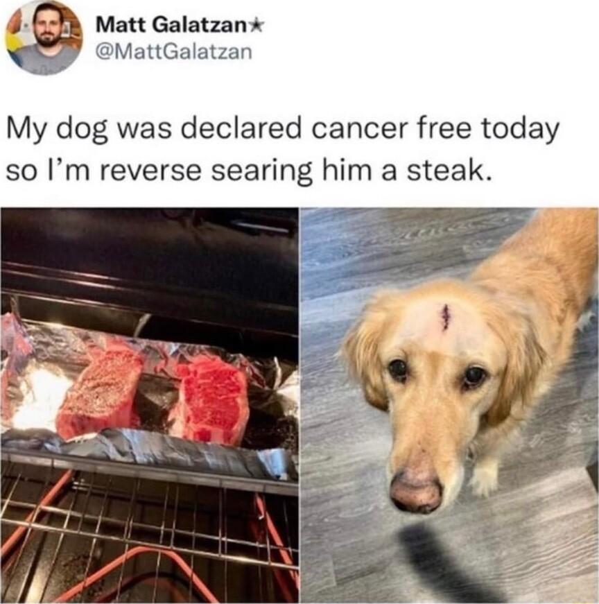 G Matt Galatzan i MattGalatzan My dog was declared cancer free today so Im reverse searing him a steak
