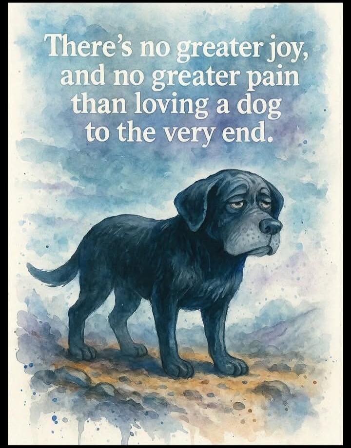 There's no greater joy, and no greater pain than loving a dog to the very end.