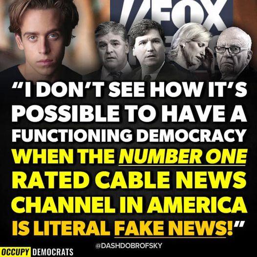 W Ase IDONT SEE HOWITS e 3T H el VF FUNCTIONING DEMOCRACY DASHDOBROFSKY Py DTN